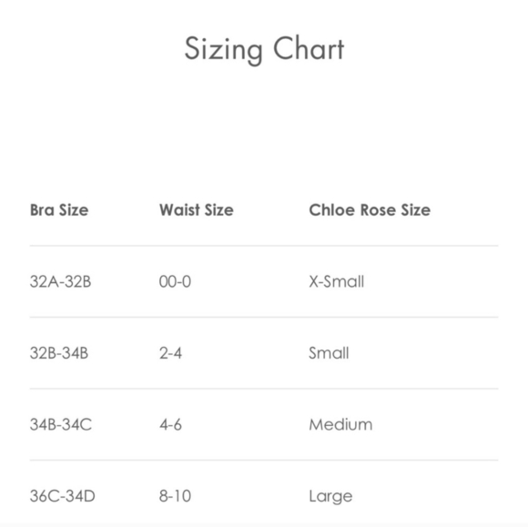 NWT Chloe Rose Revolve Sun Soaked Velvet Bikini Set In Bronze Size Small - Picture 15 of 15